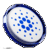 ADA icon